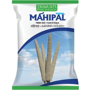 Mahipal Bajra