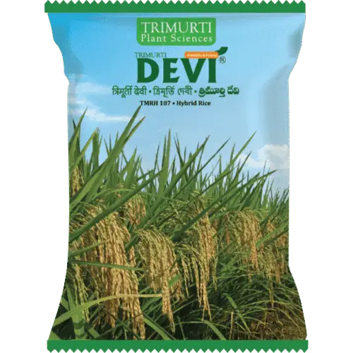 DEVI (TMRH 107)