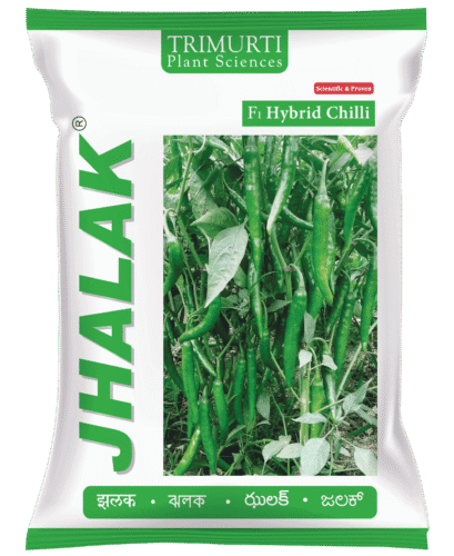 Jhalak (TMPH 424)