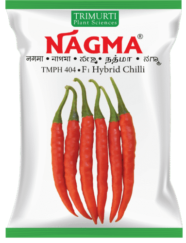 Nagma (TMPH 404)