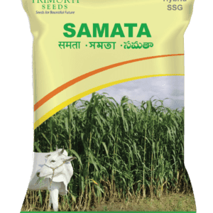 Samata (TMFH 3211)