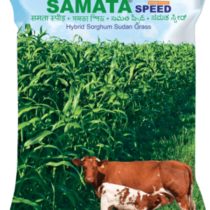 Samata Speed (TMFH 3206)