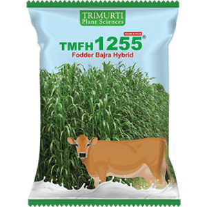 TMFH 1255
