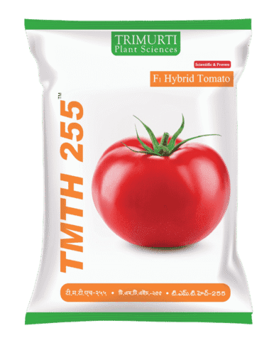 TMTH 255