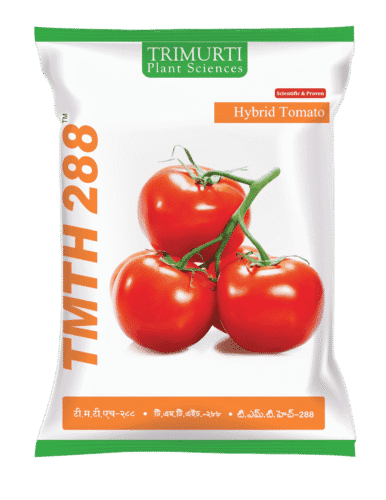 TMTH 288