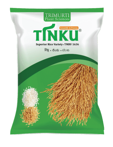 Tinku