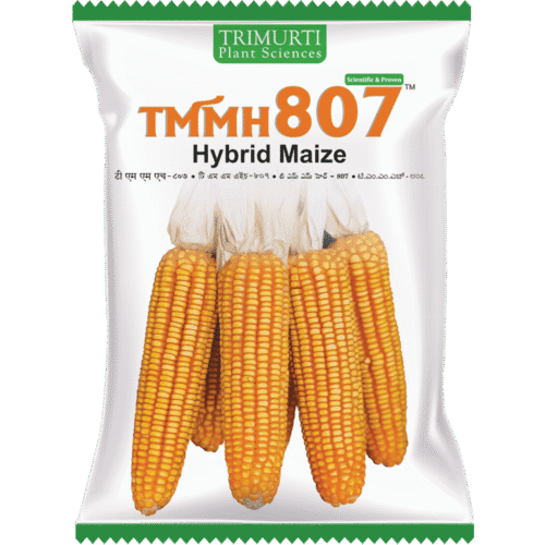 TMMH 807