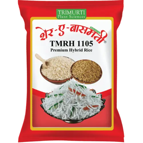 SHER-E-BASMATI (TMRH 1105)