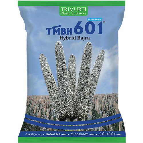 TMBH 601