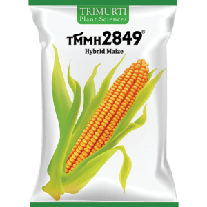 TMMH 2849