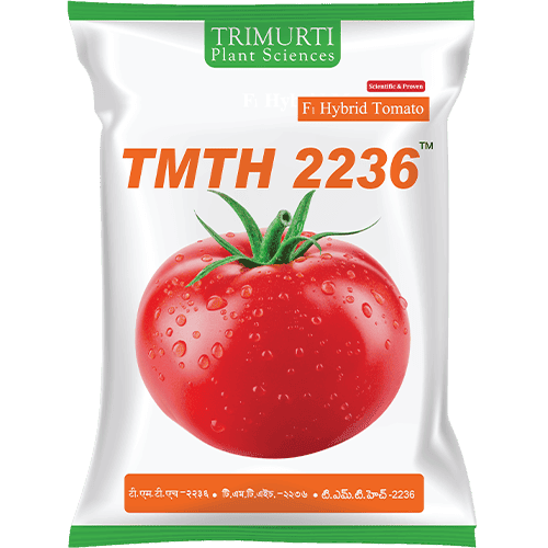 TMTH 2236