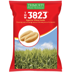 TMW 3823